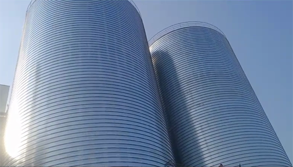 佛子山镇2座混凝土高架卷板仓